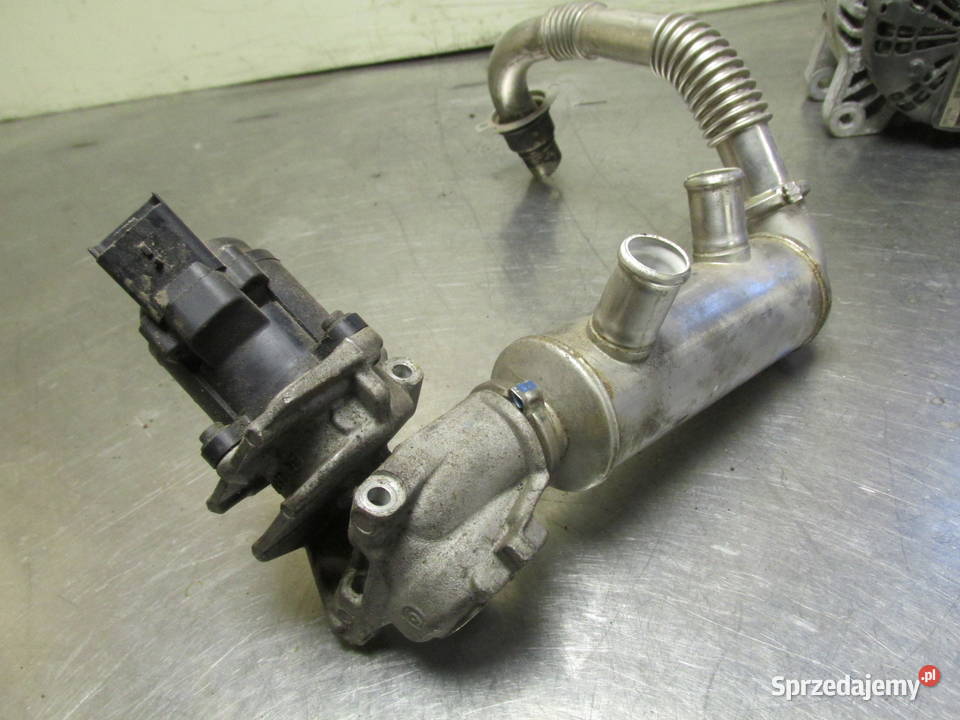 Wymiennik ciepła CitroenPeugeot P1007 07r Silniki i osprzęt Sandomierz sprzedam