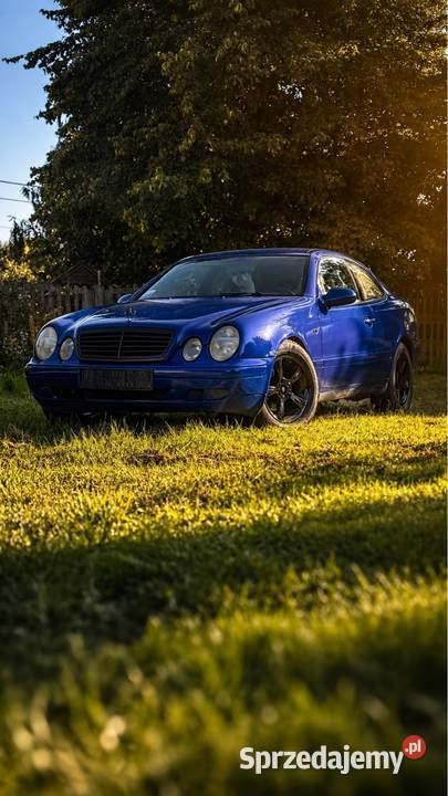 Mercedes-Benz CLK