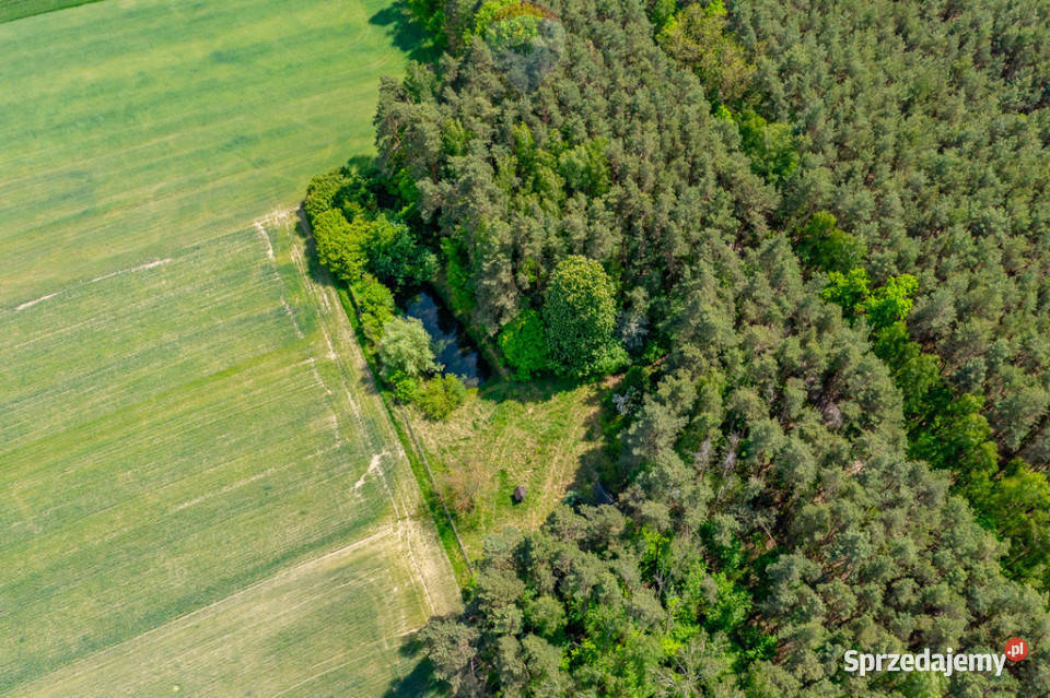 Budowlana 2300 m ze stawem i zielenią łódzkie Góry Prusinowskie