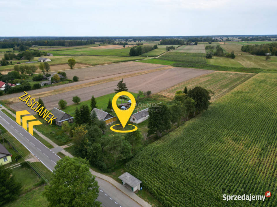 Siedlisko 11 ha w Kozłach lubelskie Kozły