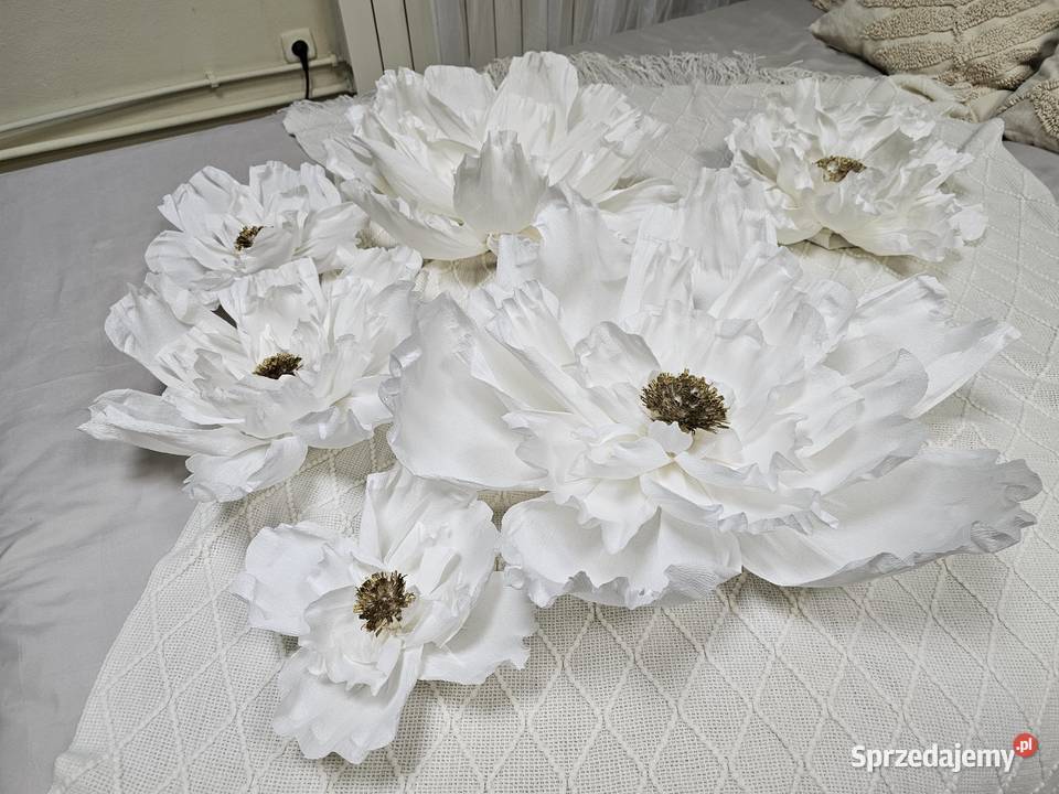 Kwiaty giganty do Twojej dekoracji Terespol