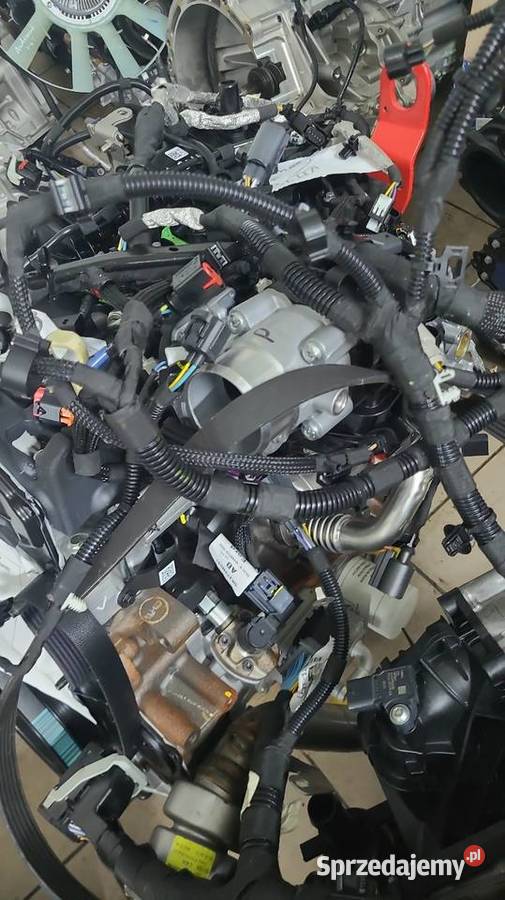 Silnik Ford Transit Kto Naprawia Fordy Transity dostawcze Radom