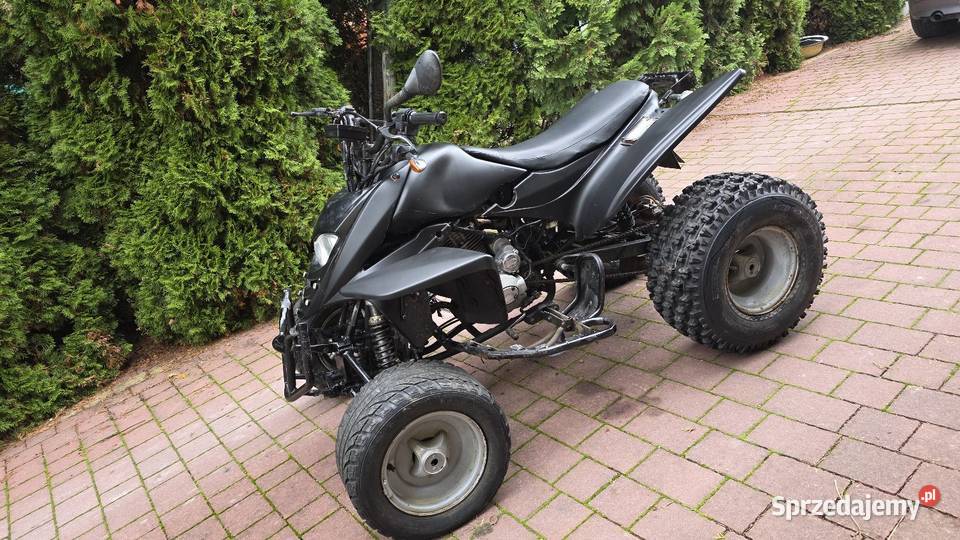 Quad 250 shinray zarejestrowany