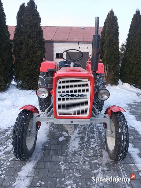 Ursus c328 Ursus Ursus