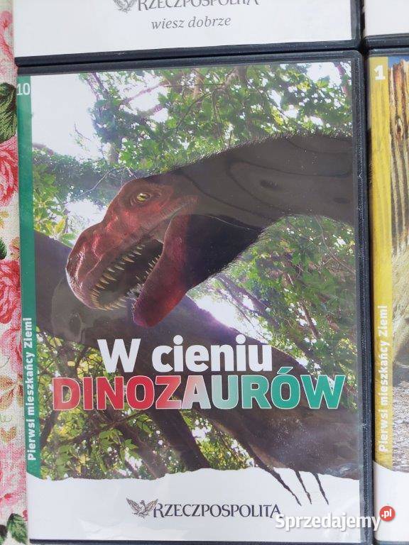 Zestaw 4 płyt CD dinozaury Poznań