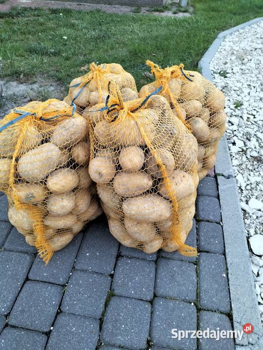 Ziemniaki Soraya Do ziemniaków i warzyw Sędziszów