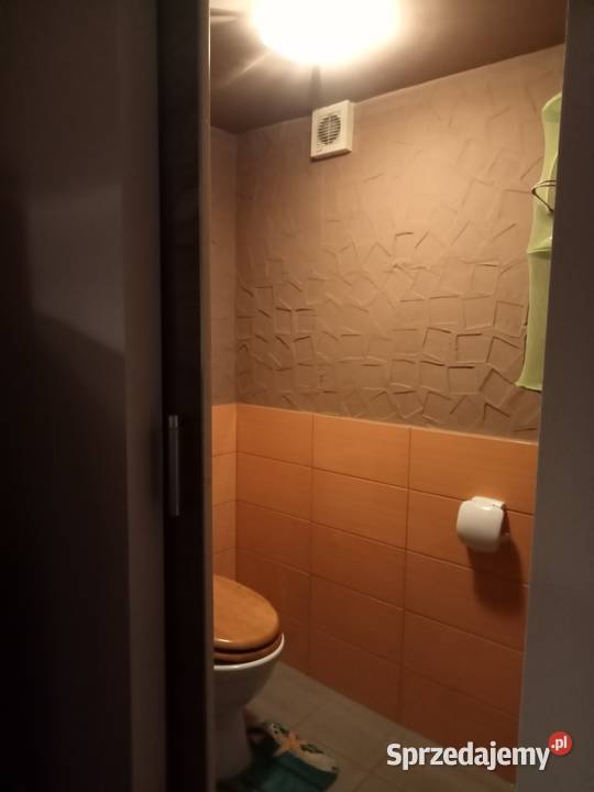 Sprzedam ogród działkowy 300mkw Zabrze siatka