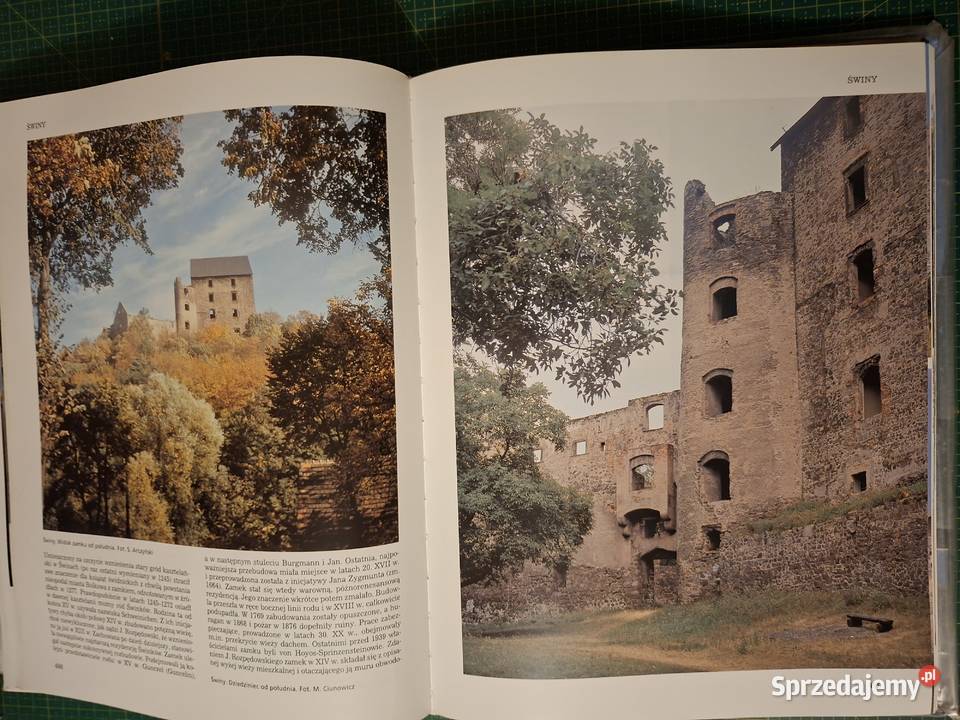 Leksykon Zamków w Polsce L Kajzer Arkady małopolskie Kraków sprzedam