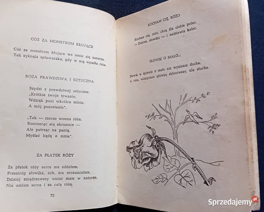 Jan Sztaudynger Piórka Czytelnik 1954 r Wydanie Koźminek sprzedam