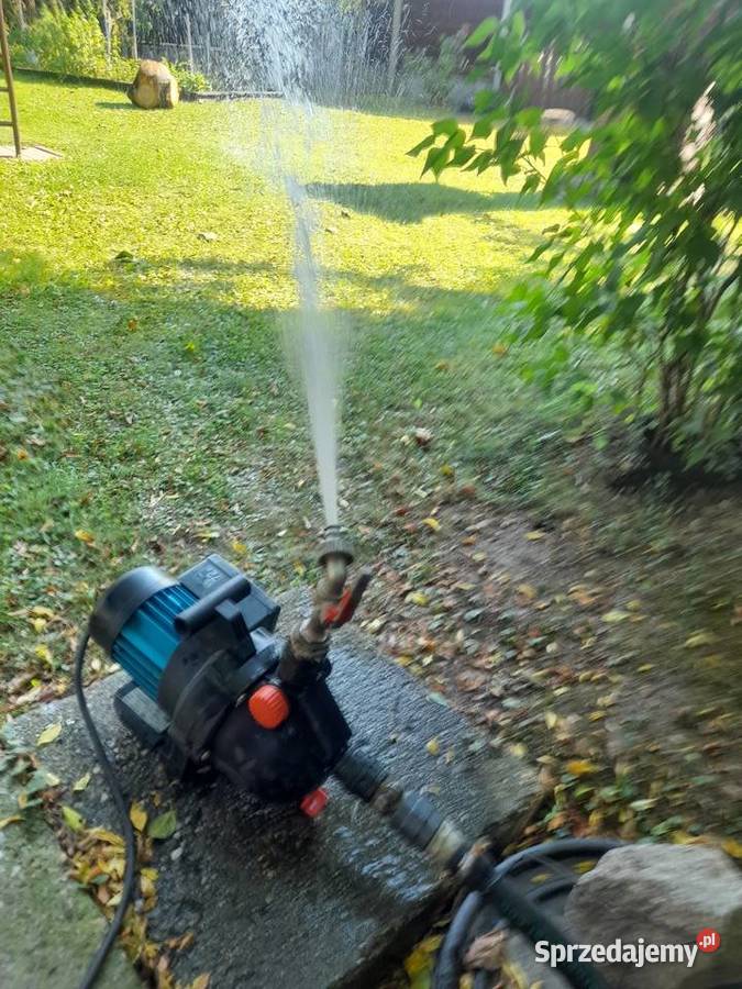 Pompa do wody ogrodowa sprawna działa pompuje Pompy i hydrofory Żagań