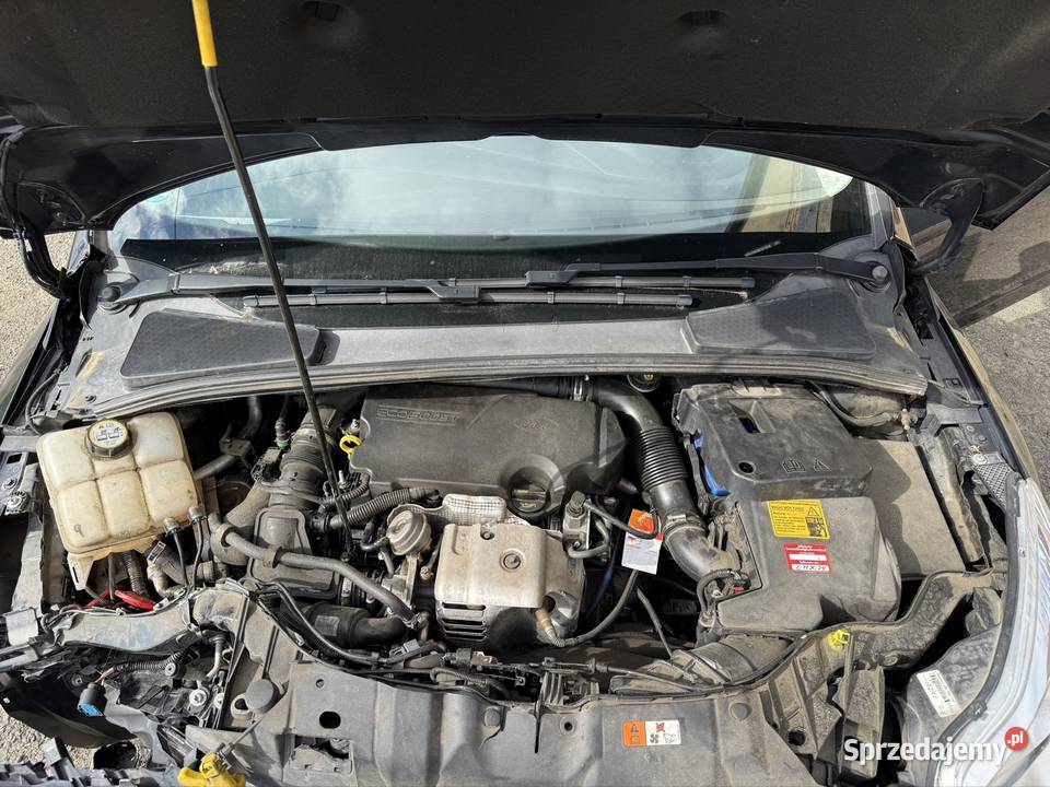 Ford Focus 10 EcoBoost benzyna Focus dolnośląskie Nowogrodziec