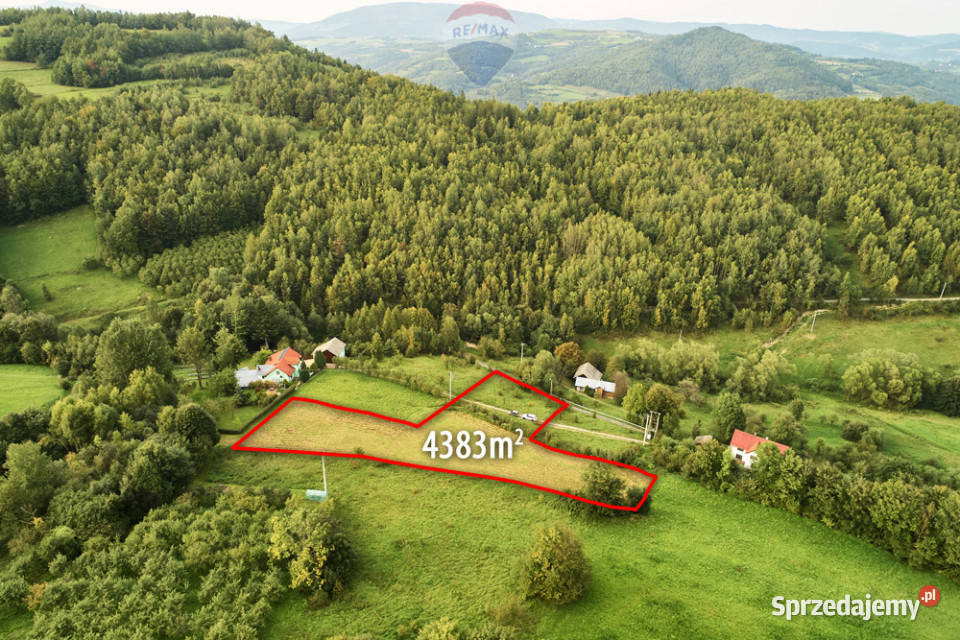 Działka budowlana 43 ary Ochotnica Dolna