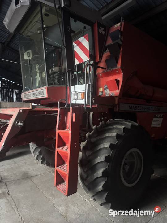 Masowy ferguson 34 Zbożowe Piotrków Pierwszy