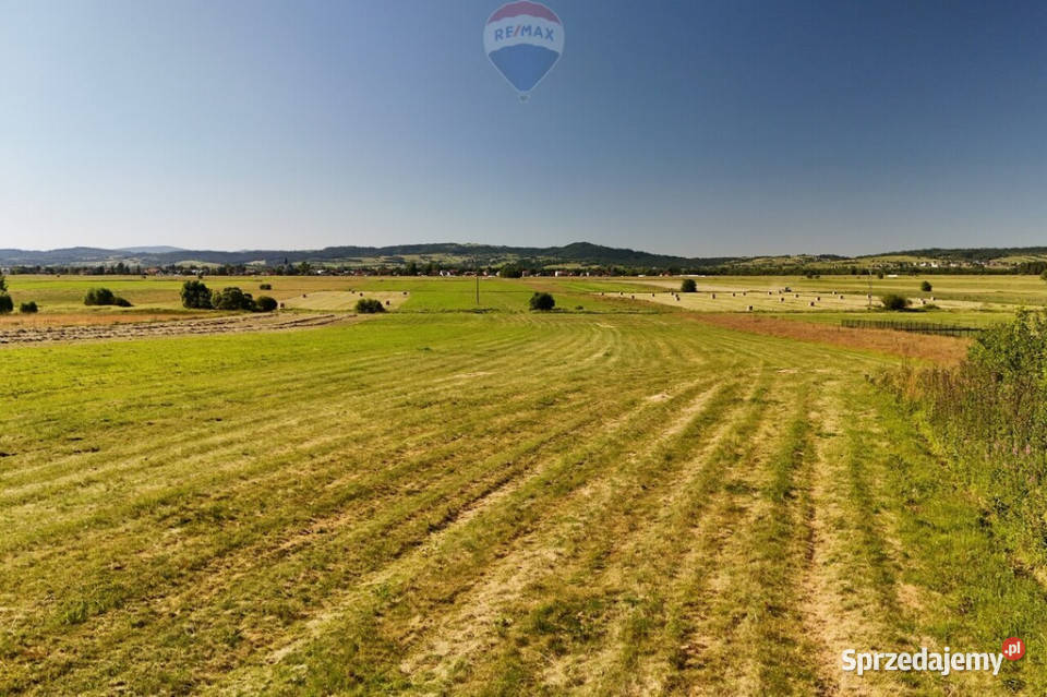Dzierżawa działki 15 ha w Wróblówce małopolskie Wróblówka