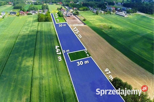 Teren inwestycyjny 9538 m2 z WZ Borki Jędrzejów 9538m2 Sprzedaż
