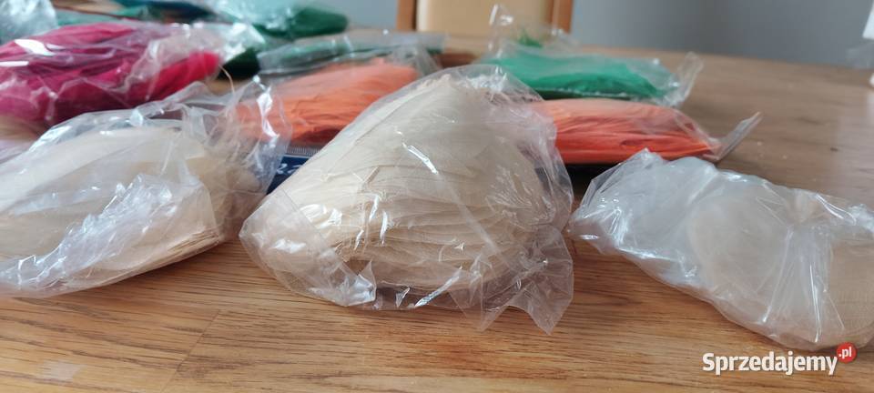 Liście szkieletowe preparowane susz egzotyczny mazowieckie sprzedam