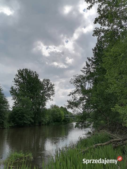Spredam dom pod lasem Konopnica
