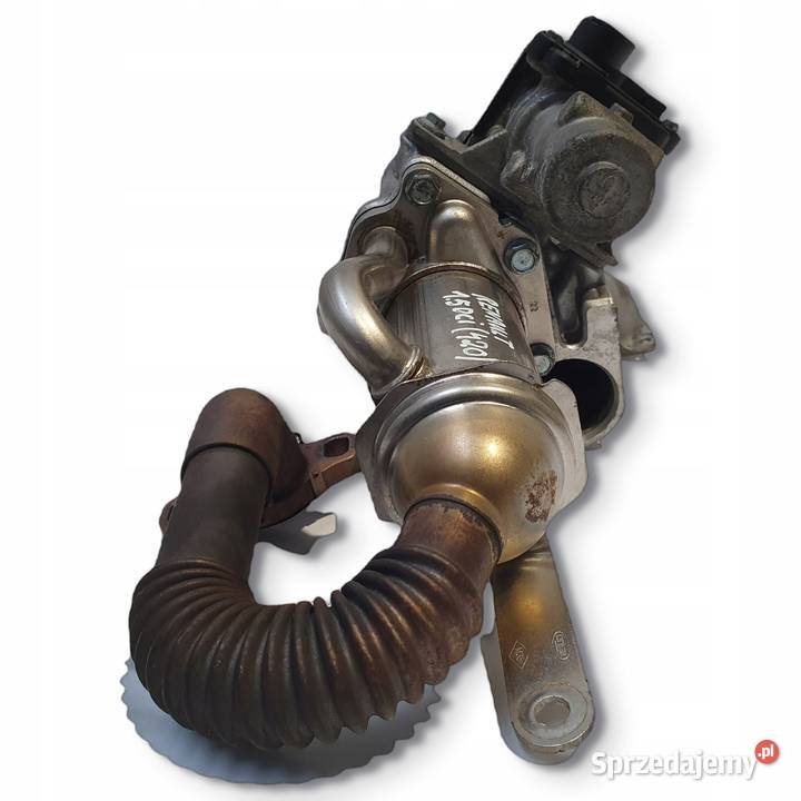 ZAWÓR EGR Renault Scenic III 15 DCI chłodnica Chełm