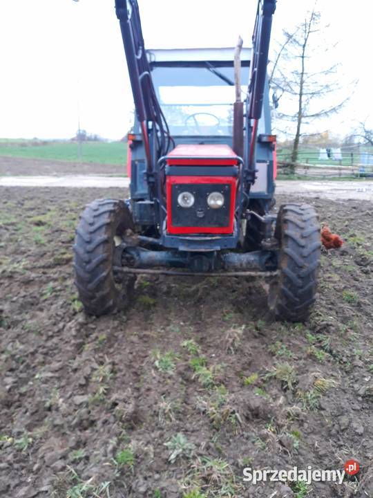 Zetor 5945 Wałdowo - Sprzedajemy.pl