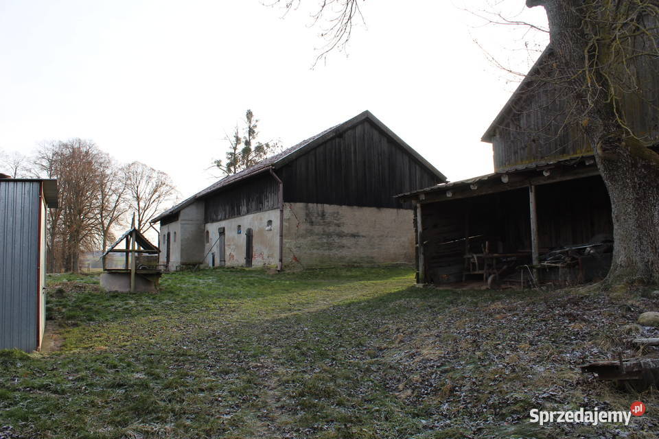 Siedlisko w Silcu dom jednorodzinny na sprzedaż dachówka Silec sprzedam