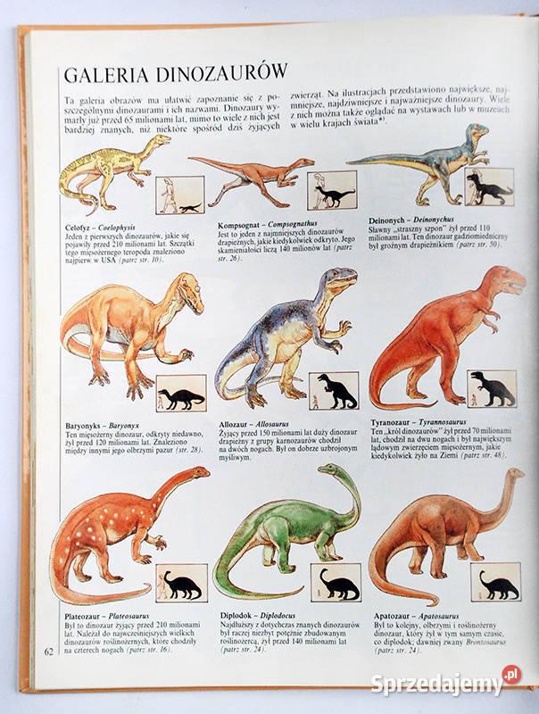 żyły dinozaury Steve Parker łódzkie Łódź