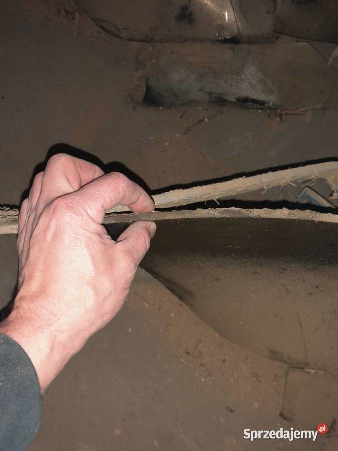 Plug Vogel Noot małopolskie Jastrzębia