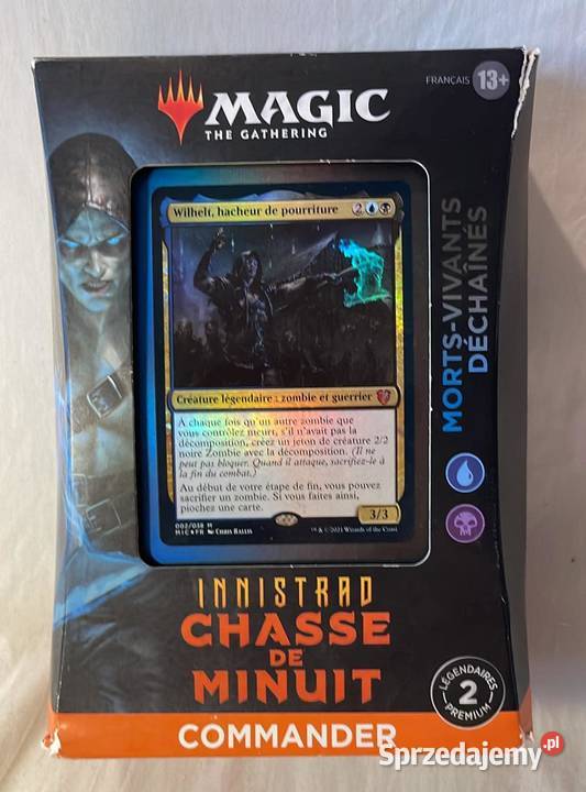 Magic gathering karty polowanie na północ Gorzów Wielkopolski
