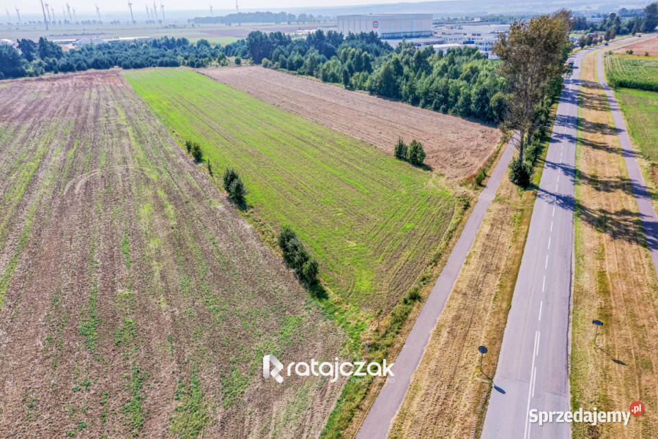 sprzedaży gruntu 9632m2 Łebcz Dr Augusta Sprzedaż sprzedam