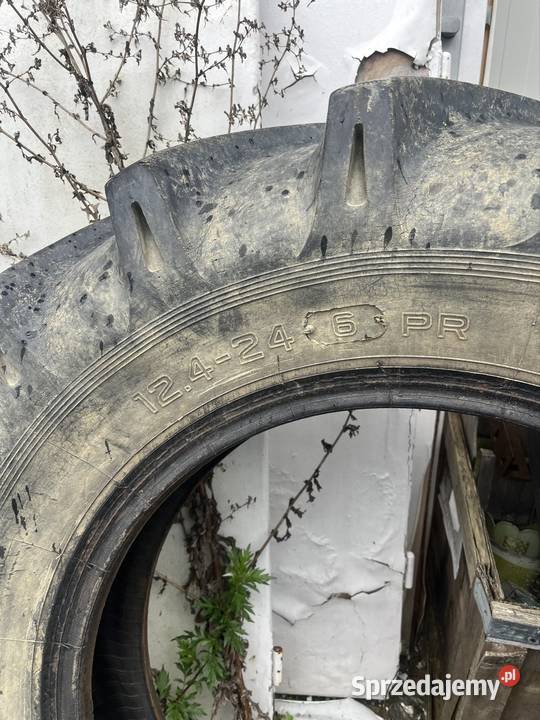 Opona 12424 Petlas małopolskie Brzana