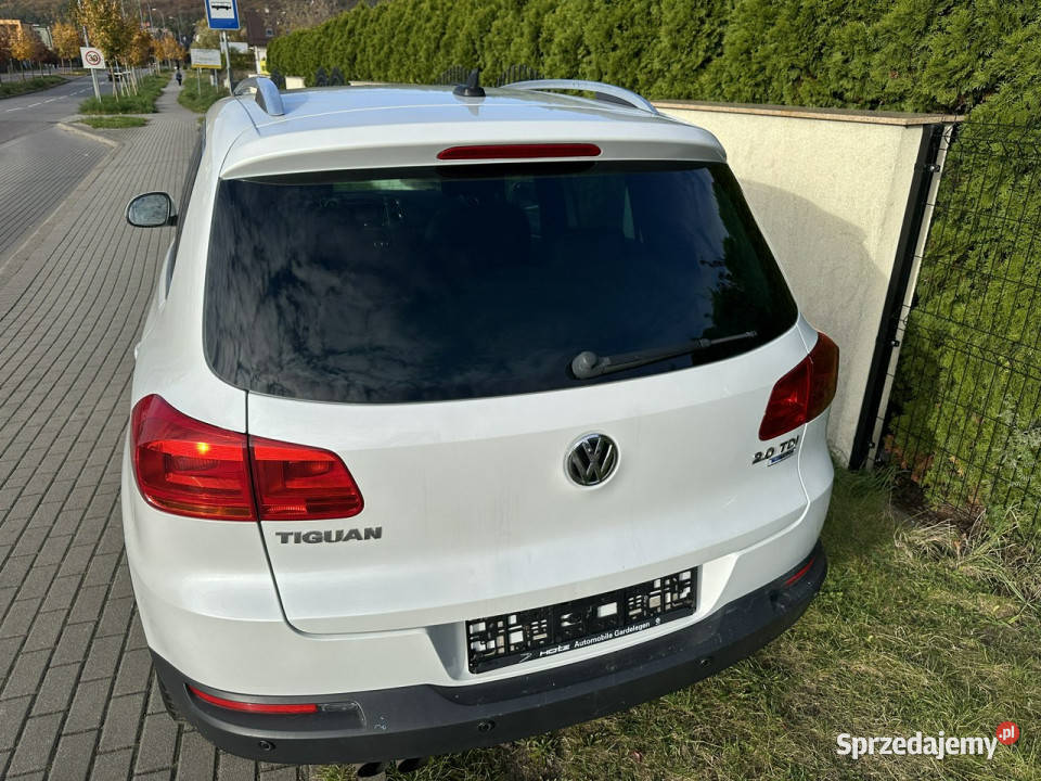 Volkswagen Tiguan Lounge 20 TDI klimatronik relingi dachowe Wejherowo