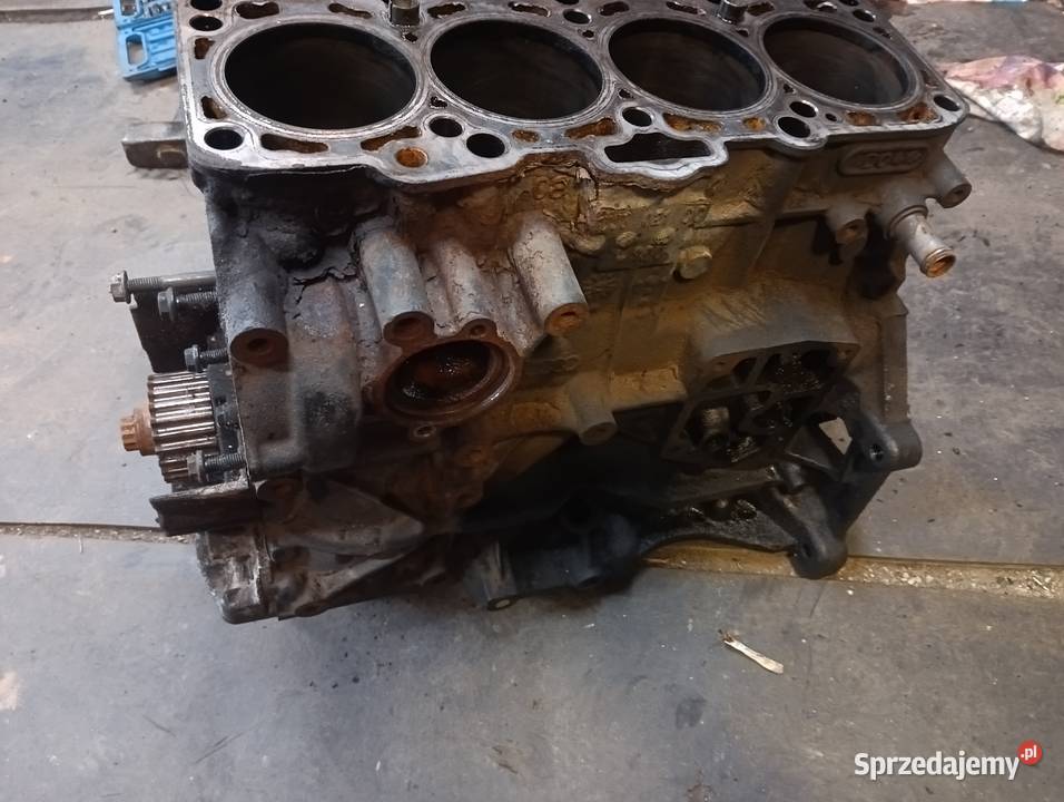 VW 19 TDI BLS Bolk Głowica osobowe dolnośląskie Dzierzków