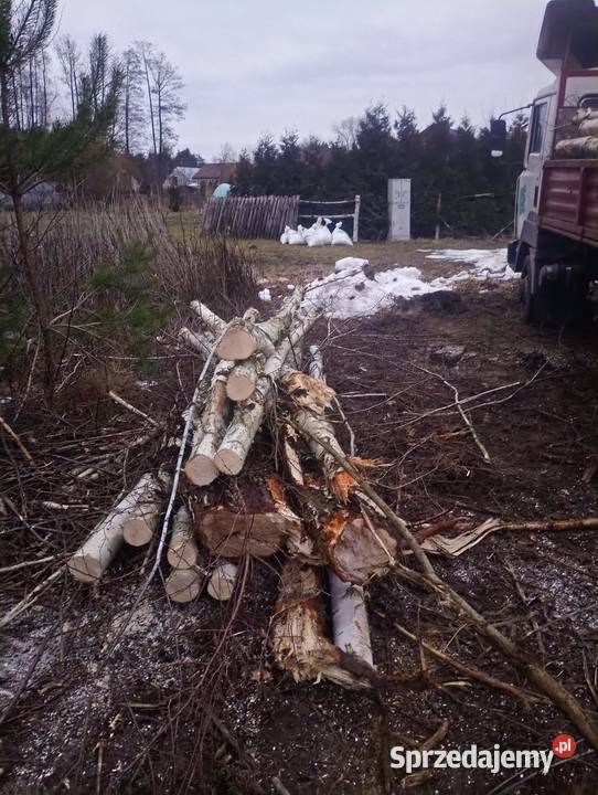 drewno brzoza opałowa dowóz Warszawa