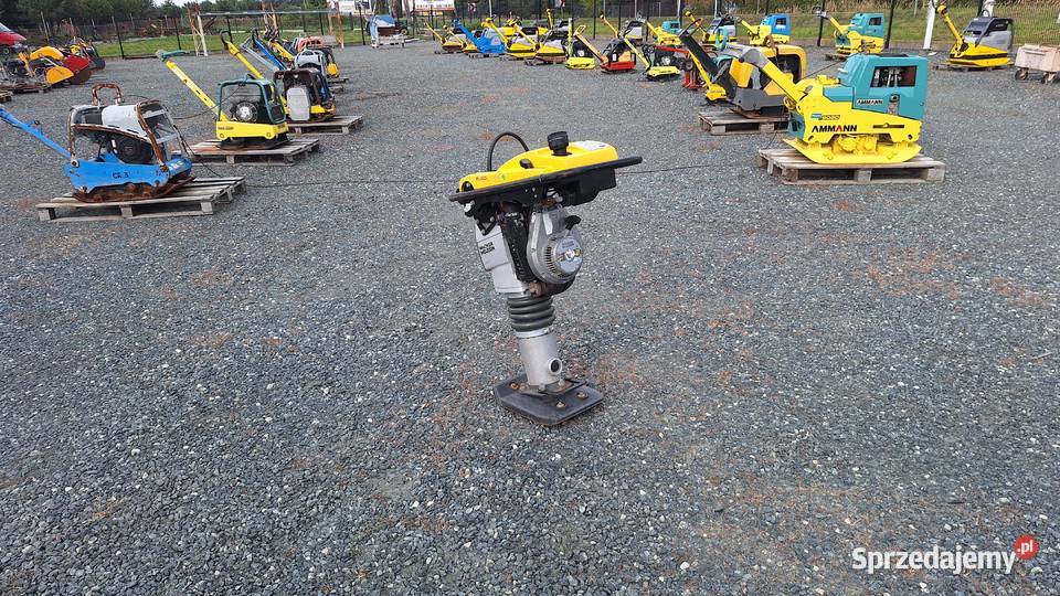 Skoczek Stopa WACKER NEUSON BS 502 plus 11in Trzebnica sprzedam