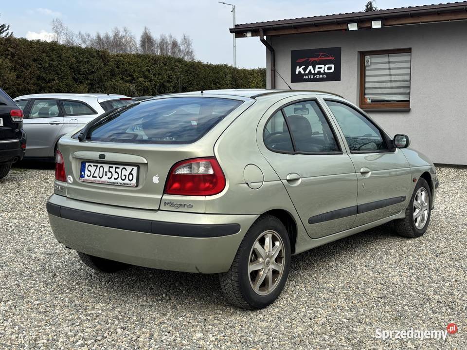 Renault Megane Paniówki