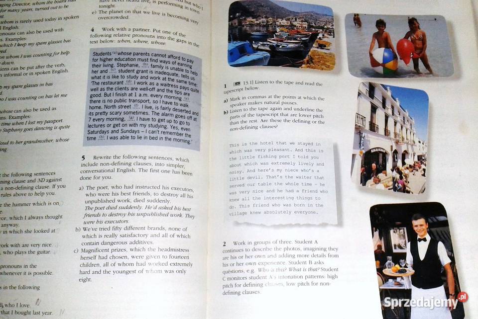 Language Issues Gillian PorterLadousse Rok wydania 1993 Chełm