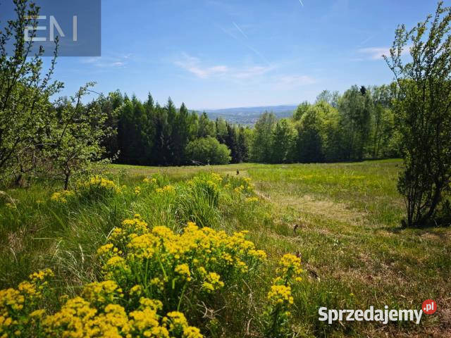 sprzedaży gruntu Lutcza 7000m2 14zł/m2