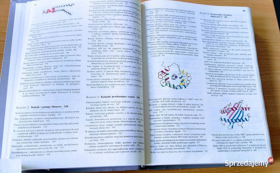 Biochemia Lubert Stryer WYDANIE NOWE 2000 Gdańsk