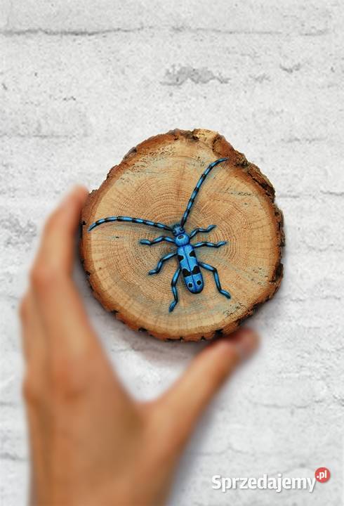 Nadobnica alpejska chrząszcz 3D obrazek na Lublin