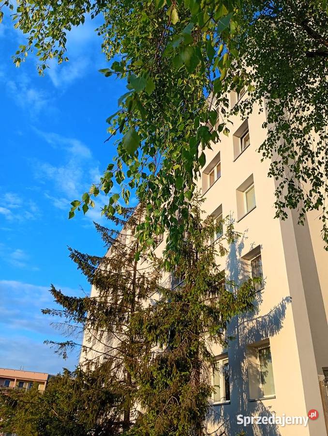 Słoneczne zadbane 3pokojowe mieszkanie z Świebodzice sprzedam