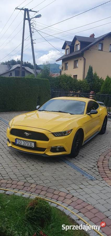 Ford Mustang 37 benzyna piękny 2015 Cisiec