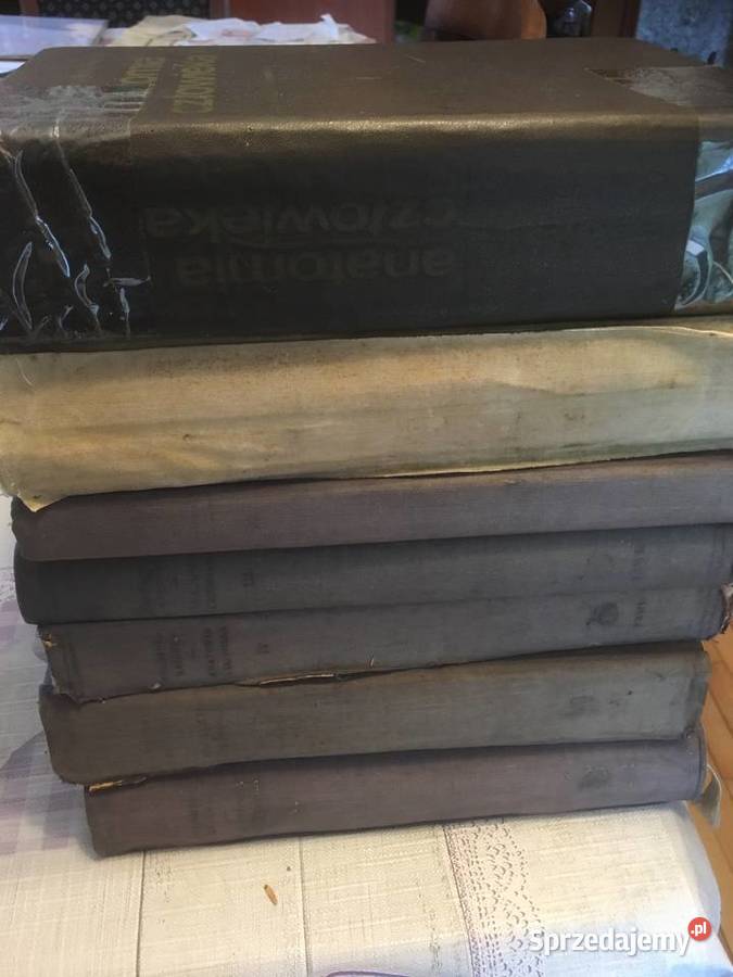 7 tomów Anatomii człowiekaunikalne wydanie Kraków