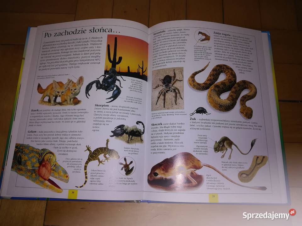 Zadziwiający świat zwierząt ARTi 2006 twarda Łódź