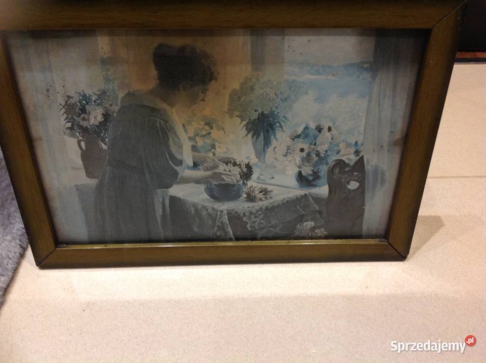 Stary Obraz Obrazek Arenz 1908 Sygnowany Nowa Sól