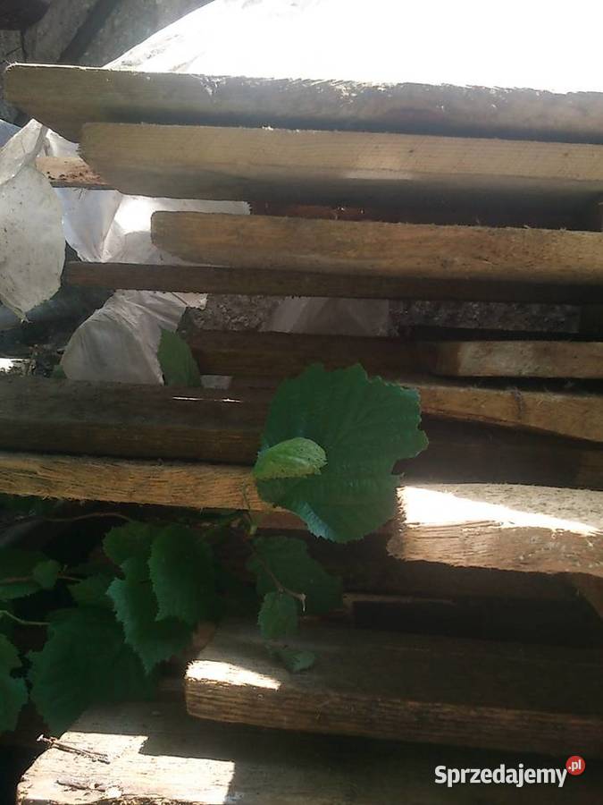 Tarcica sosnowa obrzynana Warszawa