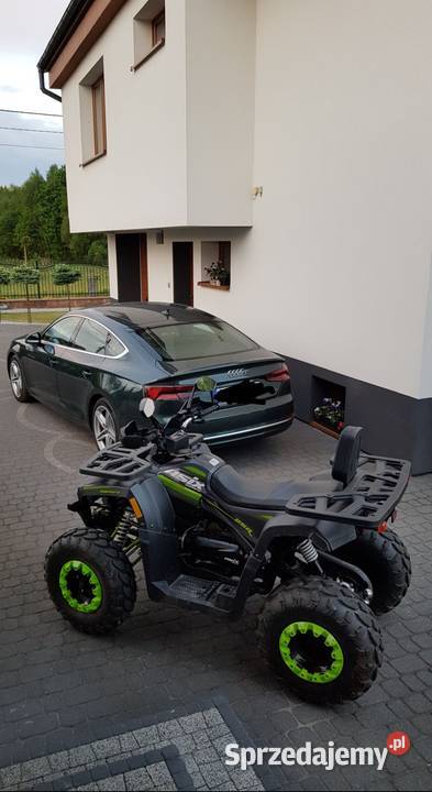 Quad Asics Ranger 250 nieuszkodzony Częstochowa