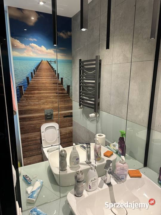 Wynajmę halę 360m2 Szczecin Pilchowo
