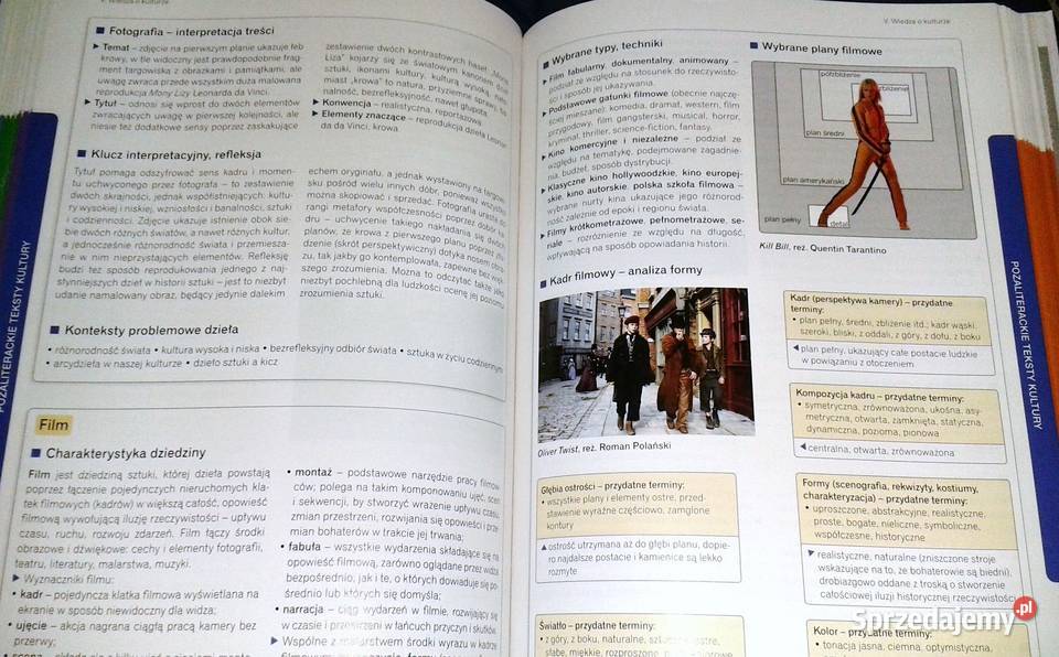 Teraz matura Język polski Vademecum Marianna Rok wydania 2018 Chełm