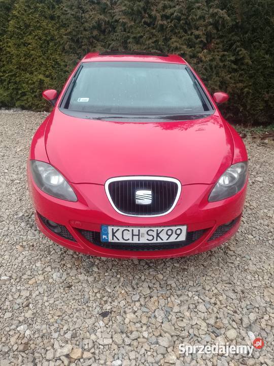 Sprzedam Leon Trzebinia