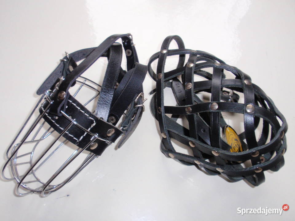 Kaganiec psa dużego Łódź