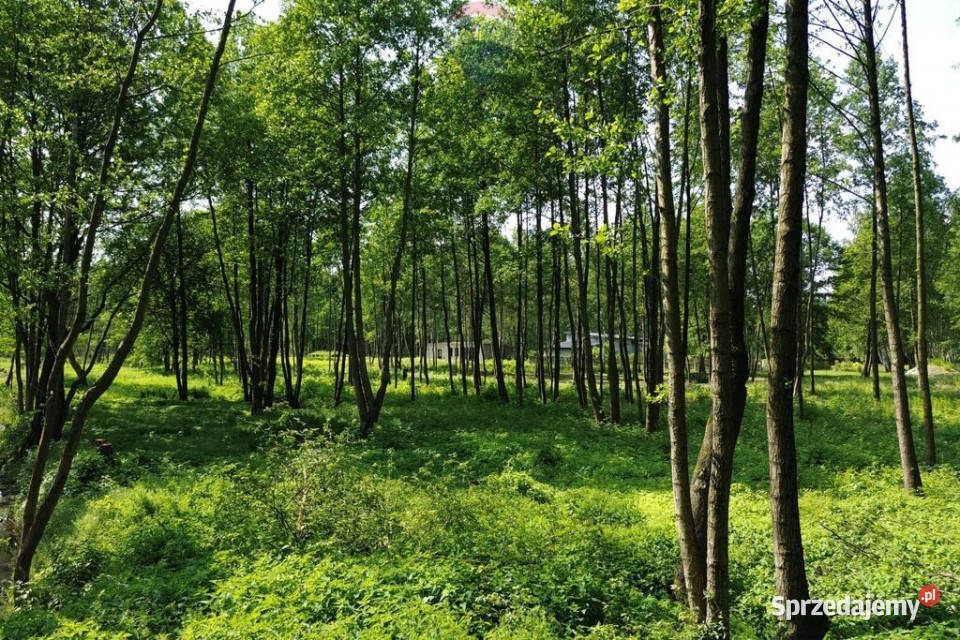 Działka Budowlana 2324 m2 Bieganów gm Jaktorów mazowieckie